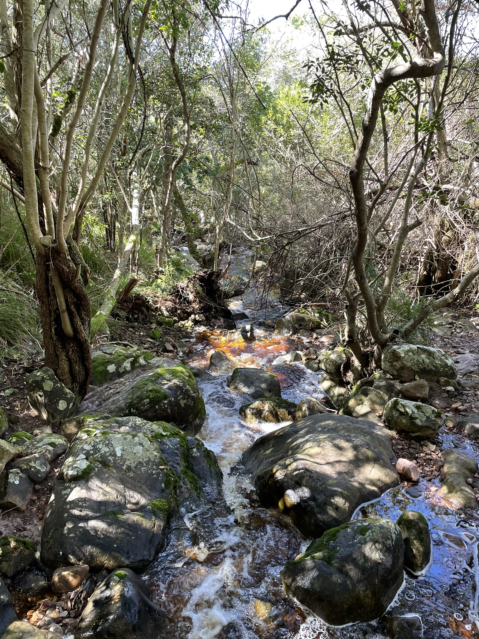 Capetown, South Africa